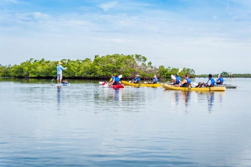 Marco Island: Kayak Mangrove Ecotour in Rookery Bay Reserve - Customer Reviews and Ratings