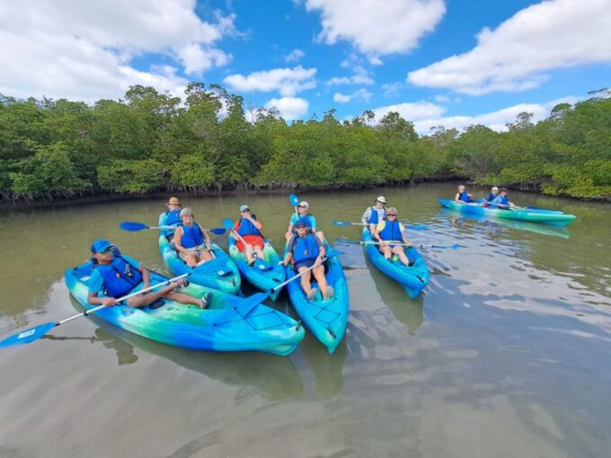 Marco Island: Kayak Mangrove Ecotour in Rookery Bay Reserve - Frequently Asked Questions