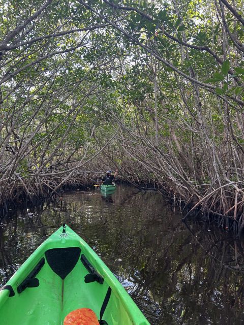 Marco Island: Mangrove Maze Kayak Tour (2hrs) - Inclusions