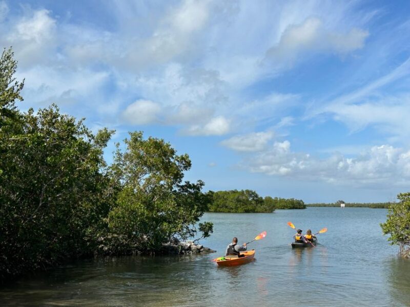 Marco Island: Mangrove Maze Kayak Tour (2hrs) - Customer Feedback