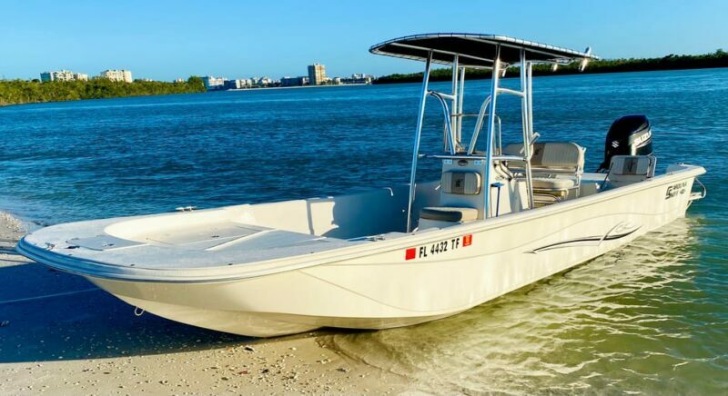 Marco Island: Private Shelling & Dolphin Excursion - A Closer Look at the Experience