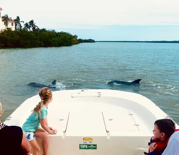 Marco Island: Private Shelling & Dolphin Excursion - Practical Details and Tips