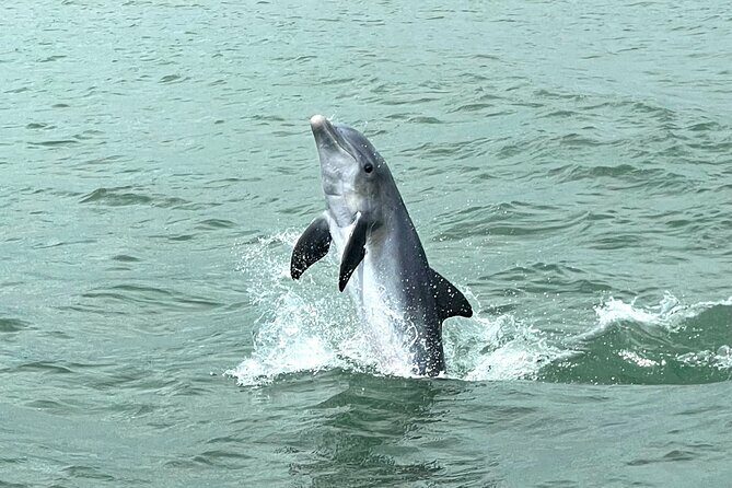 Marco Island Private Tubing, Dolphin Watching and Shelling Tour - Practical Details and Considerations