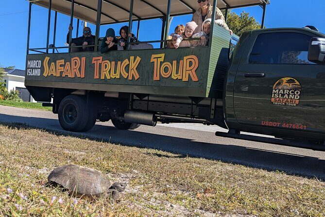 Marco Island Safari Truck Tour - An Honest Analysis of Value
