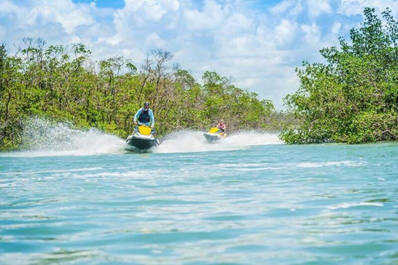 Marco Island: Ten Thousand Island Jet Ski Guided Tour - Mangrove Forest Exploration