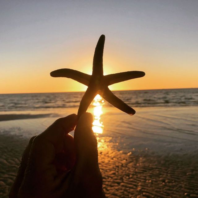 Marco Island:Sunset Boat Tour With Bottle of Champagne - Activity Highlights