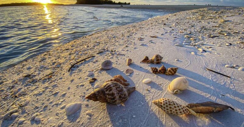 Marco Island:Sunset Boat Tour With Bottle of Champagne - Itinerary Details
