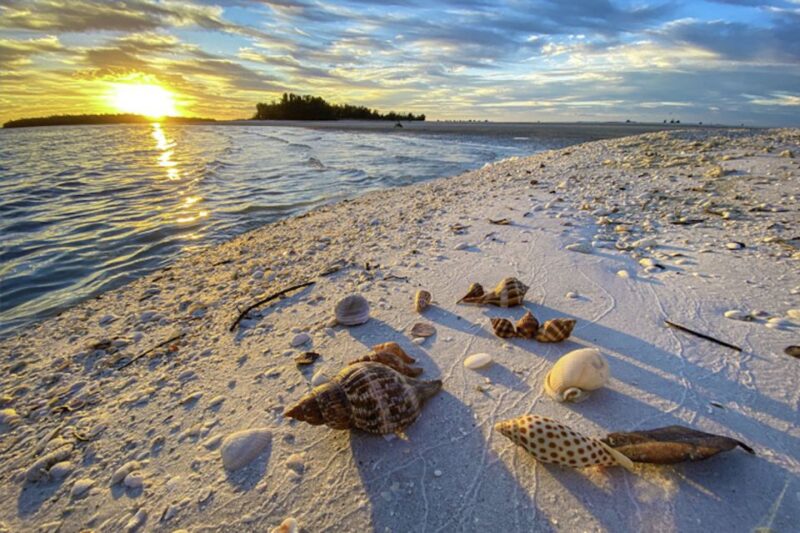 Marco Island:Sunset Boat Tour With Bottle of Champagne - Departure Location