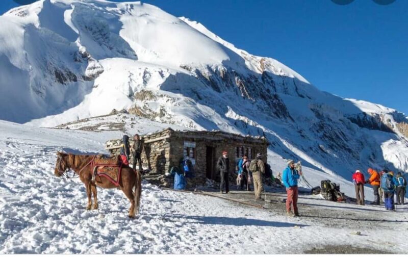 Mardi Himal Adventure Treks With or Without Group - Highlights of the Trek