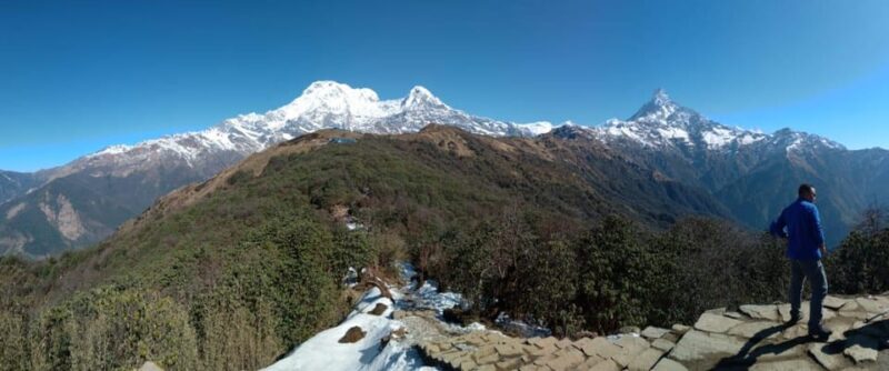 Mardi Himal Adventure Treks With or Without Group - Included and Excluded Services