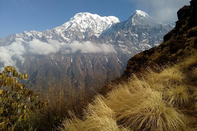 Mardi Himal Base Camp Trek - Pricing and Availability