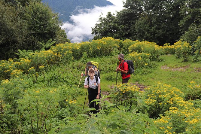 Mardi Himal Base Camp Trek (5 Days) - Inclusions and Services