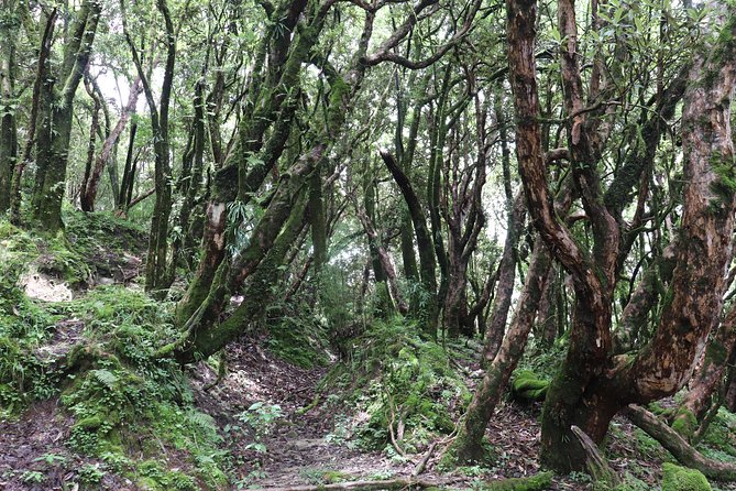 Mardi Himal Base Camp Trek (5 Days) - Trek Highlights