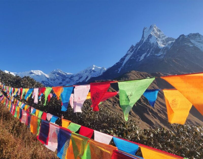 Mardi Himal Base Camp Yoga Trek 7-Day - Key Points