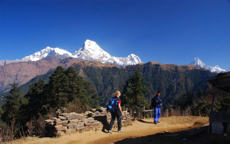 Mardi Himal Base Camp Yoga Trek 7-Day - Daily Itinerary