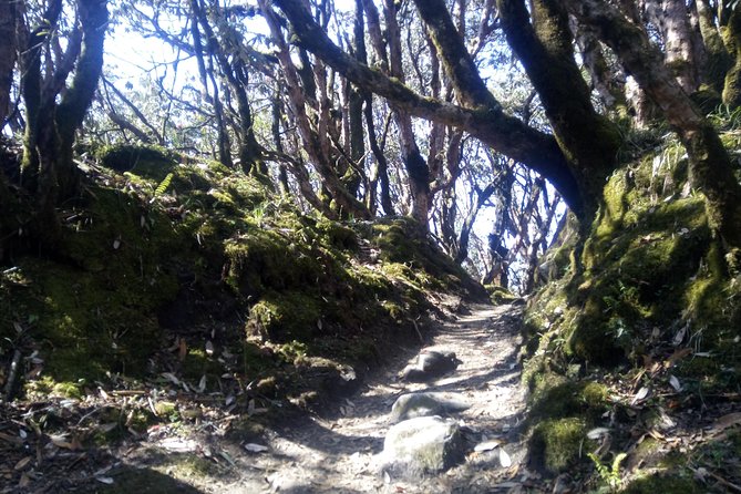 Mardi Himal Trek - Trekking Details