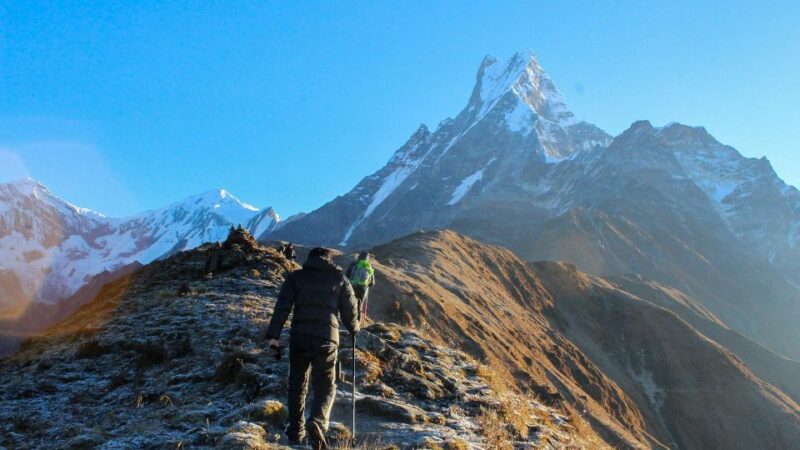 Mardi Himal Trek 6N/7D : Ultimate Guide To A Hidden Gem - Terrain and Wildlife