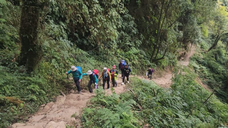 Mardi Himal Trek in Nepal - Recommended Gear and Essentials