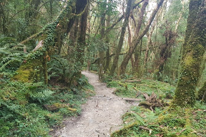 Mardi Himal Trekking - Traveler Requirements and Recommendations