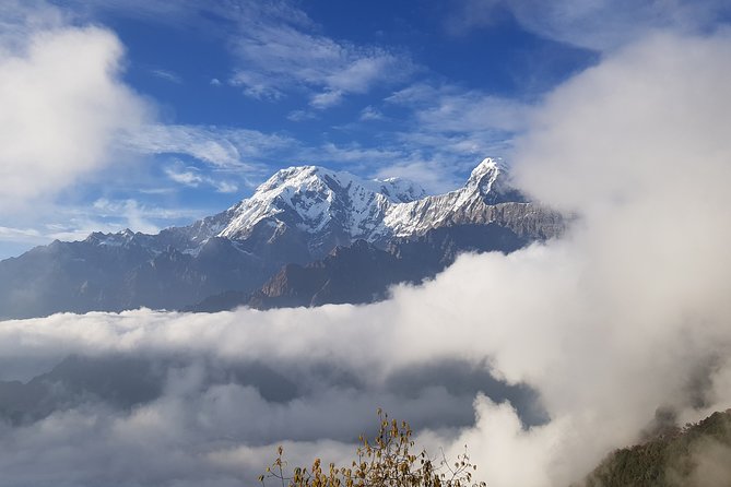 Mardi Himal Trekking - Reviews and Feedback