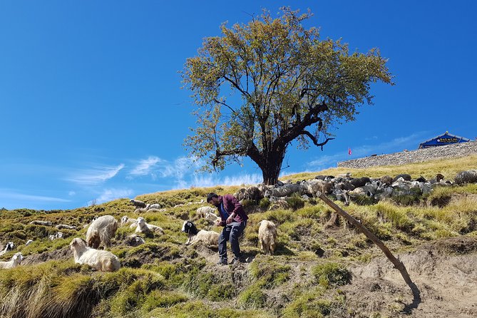 Mardi Himal Trekking - Additional Information