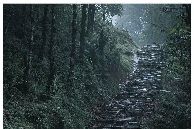 Mardi Himal Treks With Kathmandu Highlights - Physical Fitness Level