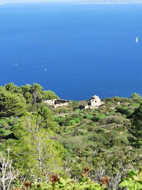 Marettimo Hiking and Nice Boat Tour to Visit Sea Caves - Itinerary Highlights