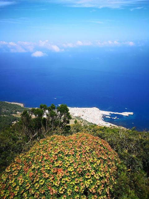 Marettimo Hiking and Nice Boat Tour to Visit Sea Caves - Equipment and Preparation