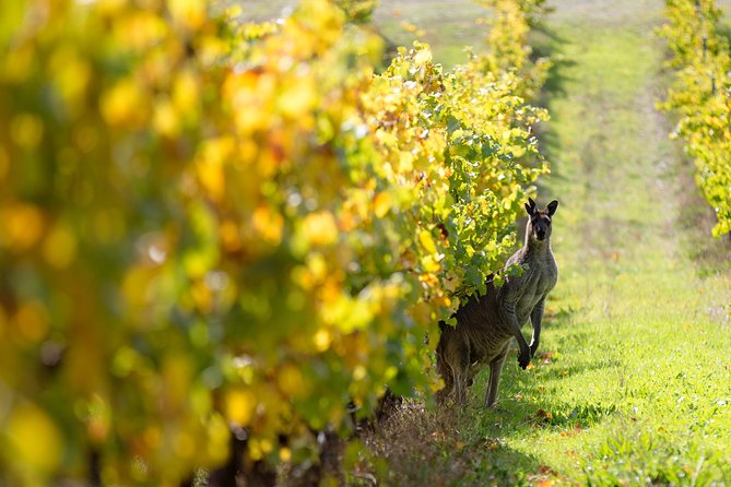 Margaret River 3 Day Escape - Itinerary and Inclusions
