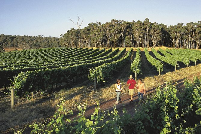 Margaret River, Caves, Wine and Cape Leeuwin Lighthouse Tour From Perth - Itinerary and Activities