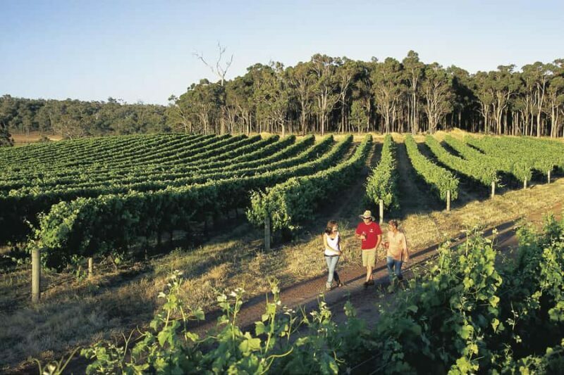 Margaret River, Chocolate, Wine & Coast Day Trip from Perth - Key Points