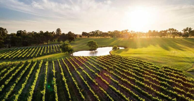 Margaret River, Chocolate, Wine & Coast Day Trip from Perth - Detailed Review of the Margaret River Day Trip