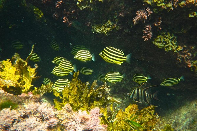 Margaret River Coastal and Wildlife Eco Trip From Busselton or Dunsborough - Inclusions and Amenities