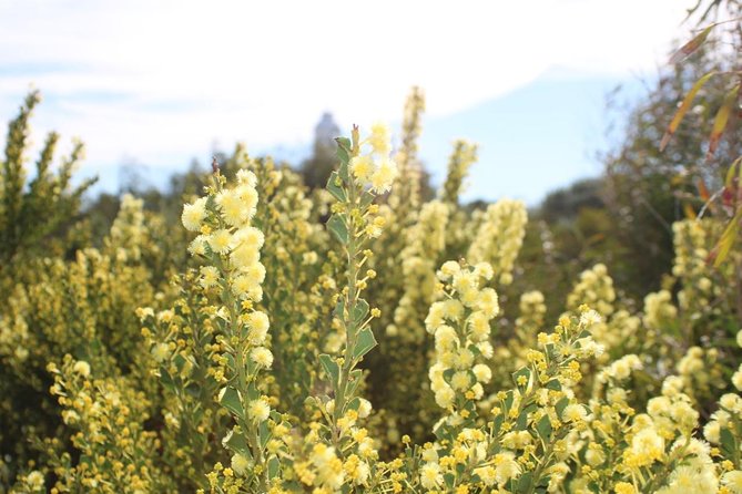 Margaret River Coastal and Wildlife Eco Trip From Busselton or Dunsborough - Reviews and Ratings