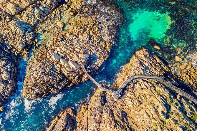 Margaret River Day Tour With Wildlife Cruise & Wine Tasting - An In-Depth Look at the Tour Experience