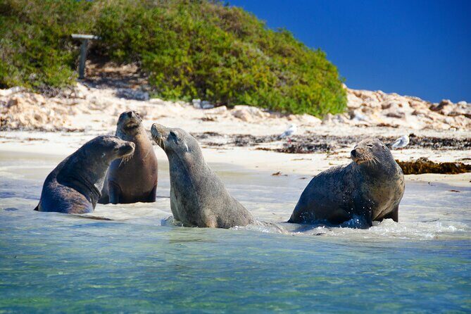 Margaret River Day Tour With Wildlife Cruise & Wine Tasting - Is It Right for You?