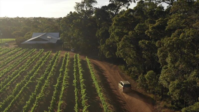 Margaret River: Food and Wine Tour With Tastings and Lunch - Key Points