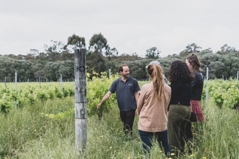 Margaret River: Food and Wine Tour With Tastings and Lunch - Pickup and Dropoff