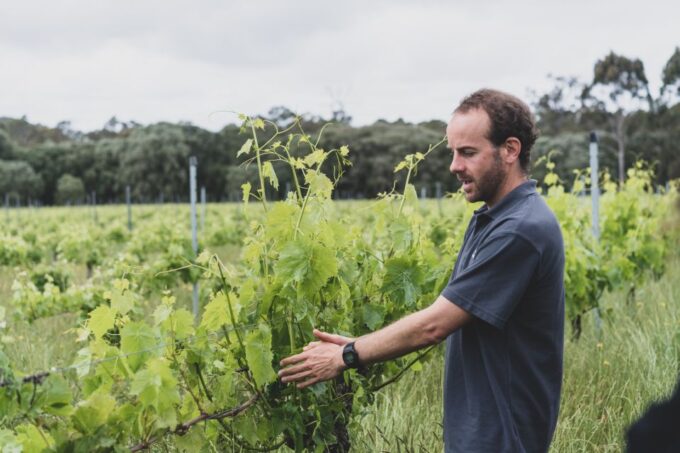 Margaret River: Food and Wine Tour With Tastings and Lunch - Chocolate Tastings