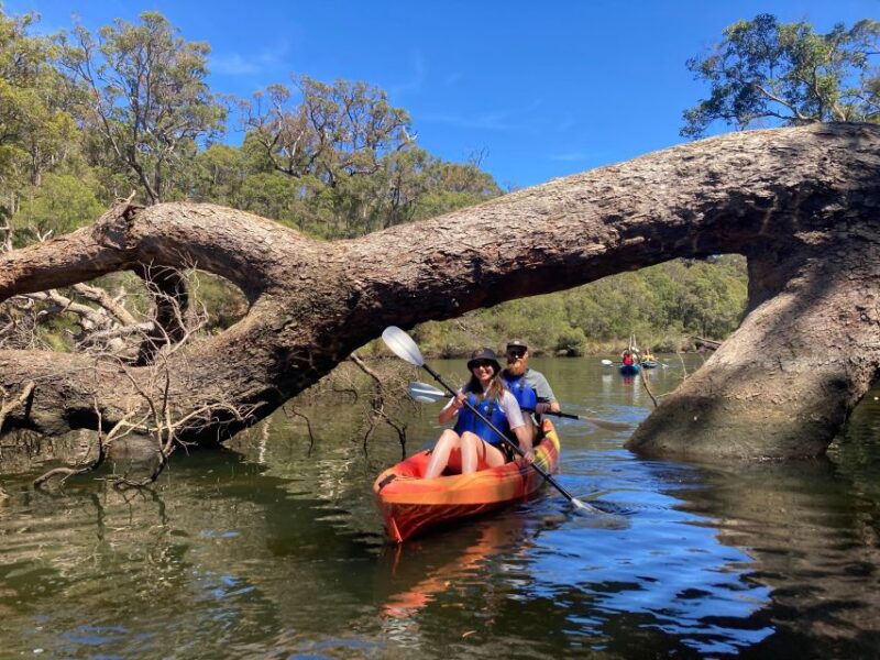 Margaret River: Guided Kayaking & Winery Tour With Lunch - Included Amenities and Highlights