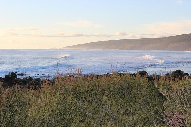Margaret River Indulge and Discover Day Tour - Included Experiences