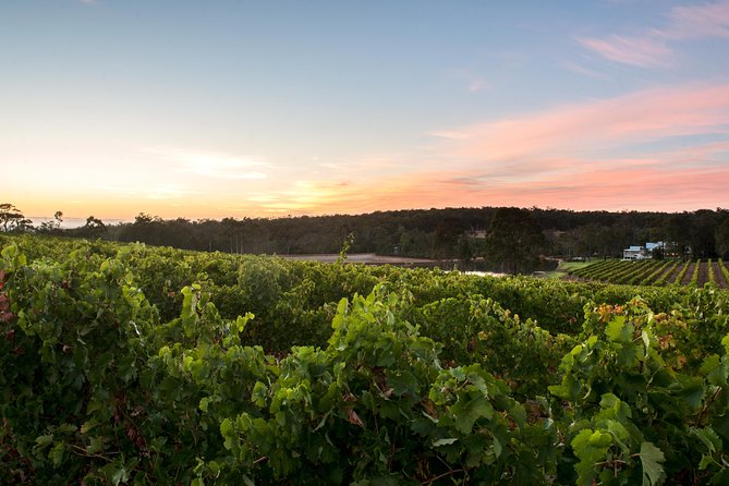 Margaret River Indulge and Discover Day Tour - Reviews and Feedback
