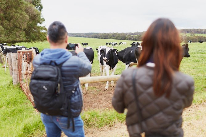 Margaret River Indulge and Discover Day Tour - Coffee Tasting Experience