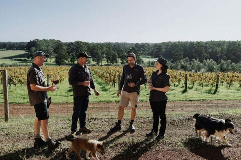 Margaret River: Indulge and Discover Food and Wine Tour - Transportation, Group Size, and Overall Value