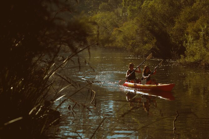 Margaret River Kayaking and Winery Tour - Lunch Details