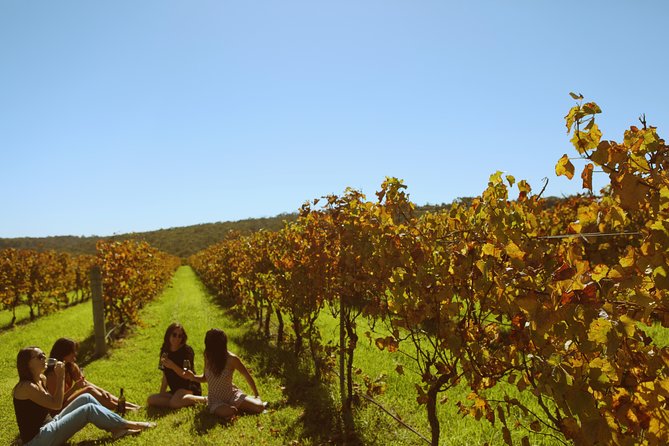 Margaret River Kayaking and Winery Tour - Guide and Companion