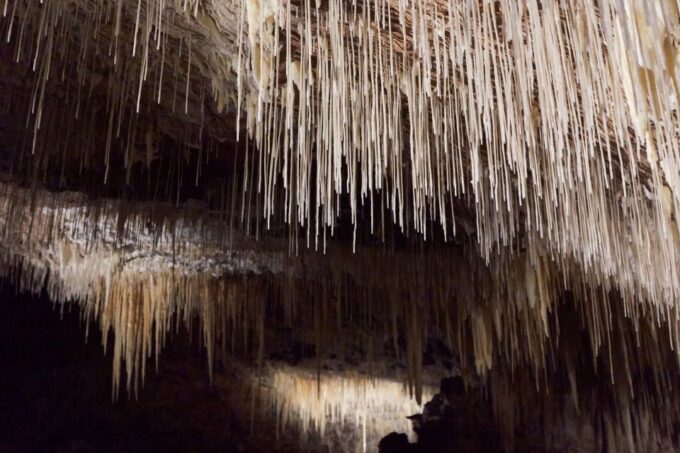Margaret River: Lake Cave Fully-Guided Tour - Meet the Guides