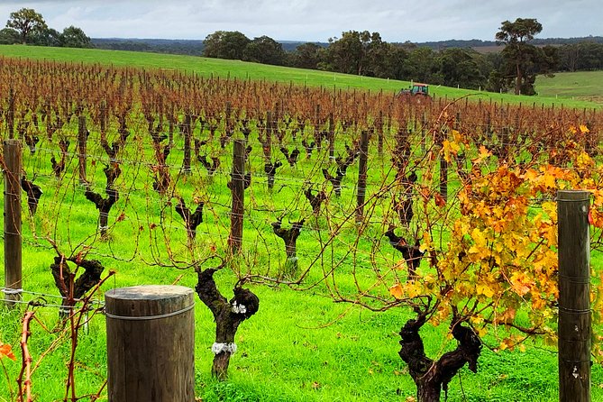 Margaret River Private Day Tours - Booking Details and Availability