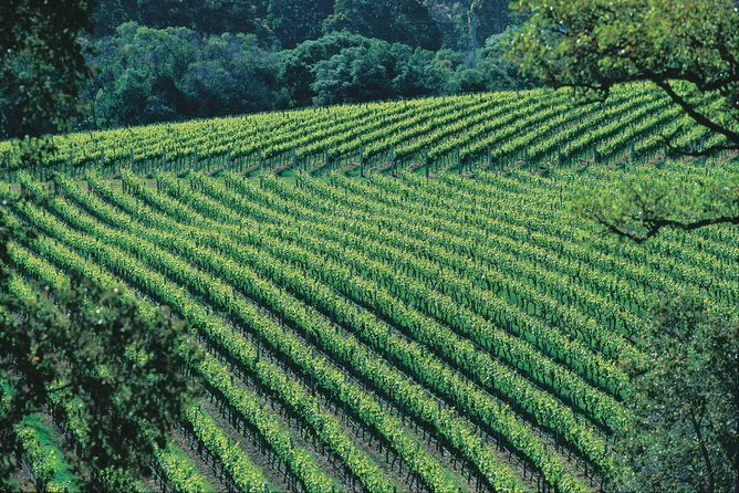 Margaret River Private Tour - Included Experiences