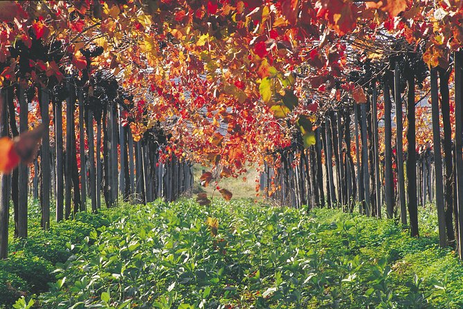 Margaret River Private Tour - Tour Feedback